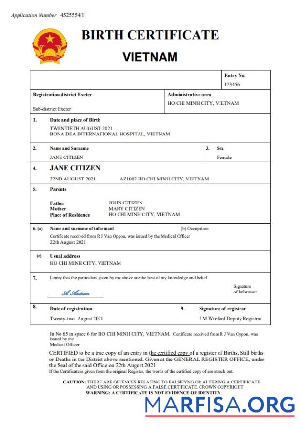 Blank Vietnam birth certificate Word and PDF template